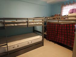 Tampines Street 41 (Tampines),  #553043821